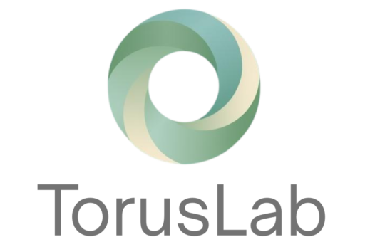 logo-toruslab-png